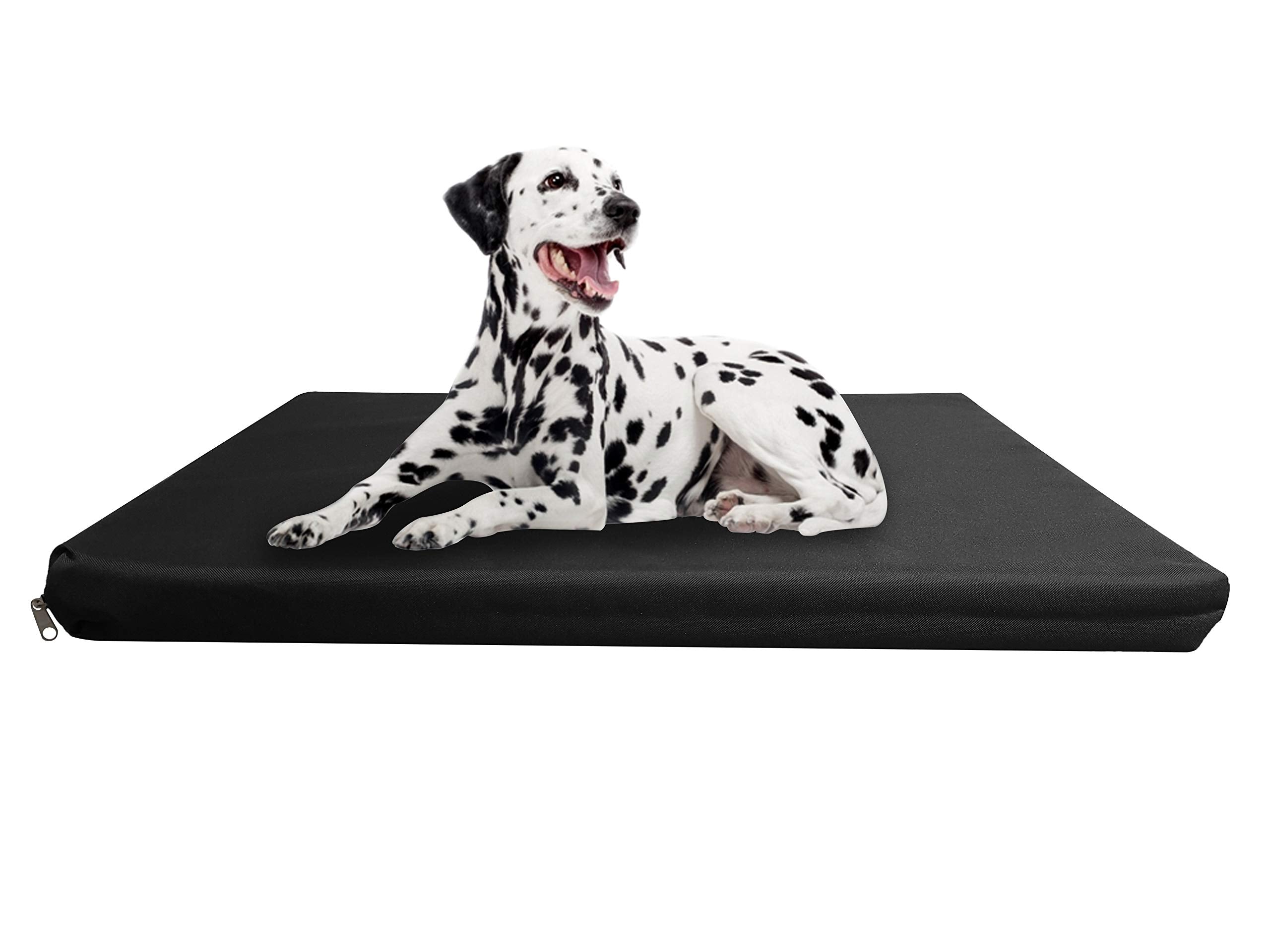 Strong, Sturdy and Waterproof Dog Bed, Premium High Density Foam, Durable Cool Washable Cover, Cushion Mattress for Dogs, Cats, Other Small and Big Pets, Great for Dogs Cats (Medium, Blue)
