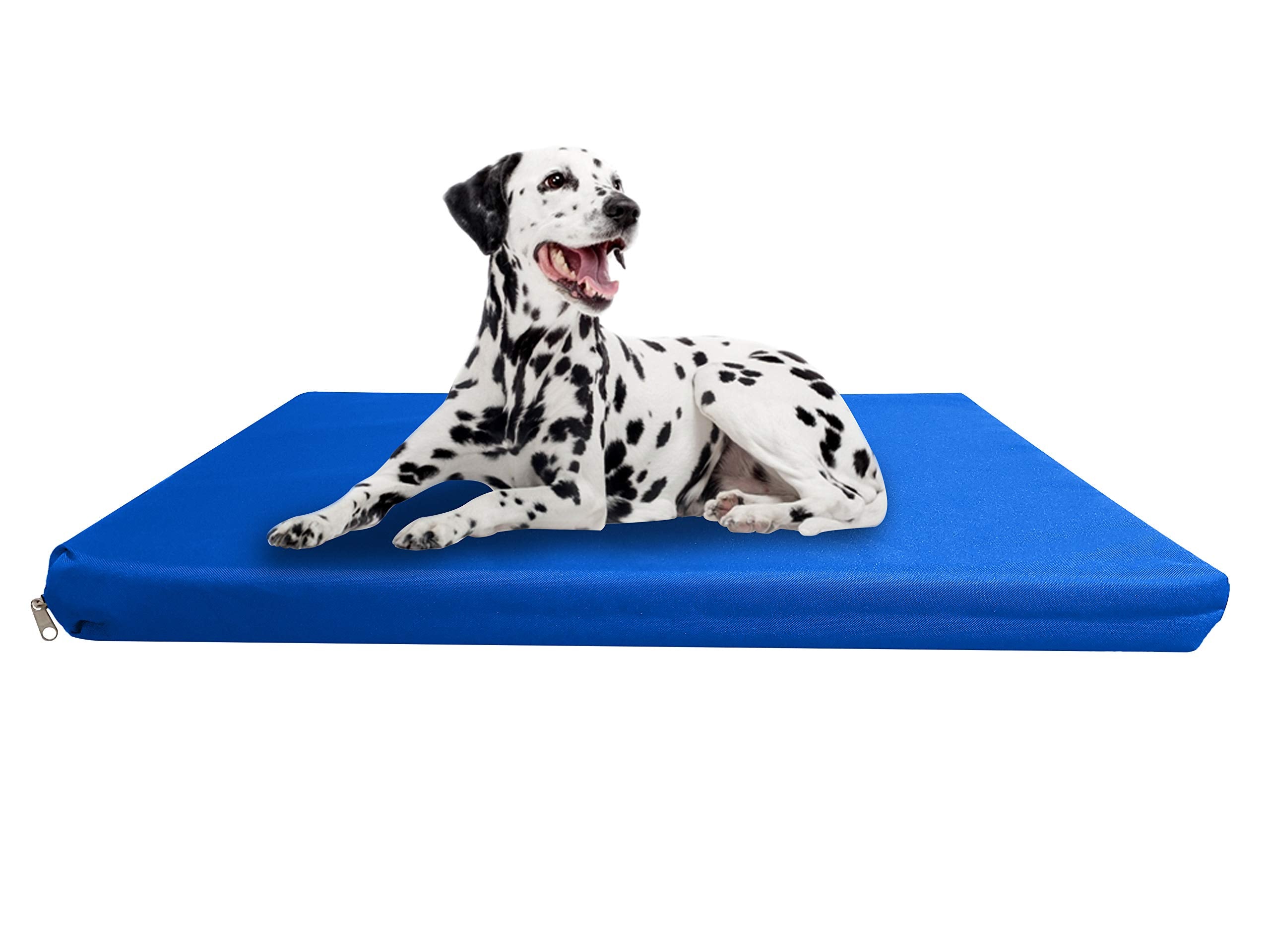 Strong, Sturdy and Waterproof Dog Bed, Premium High Density Foam, Durable Cool Washable Cover, Cushion Mattress for Dogs, Cats, Other Small and Big Pets, Great for Dogs Cats (Medium, Blue)