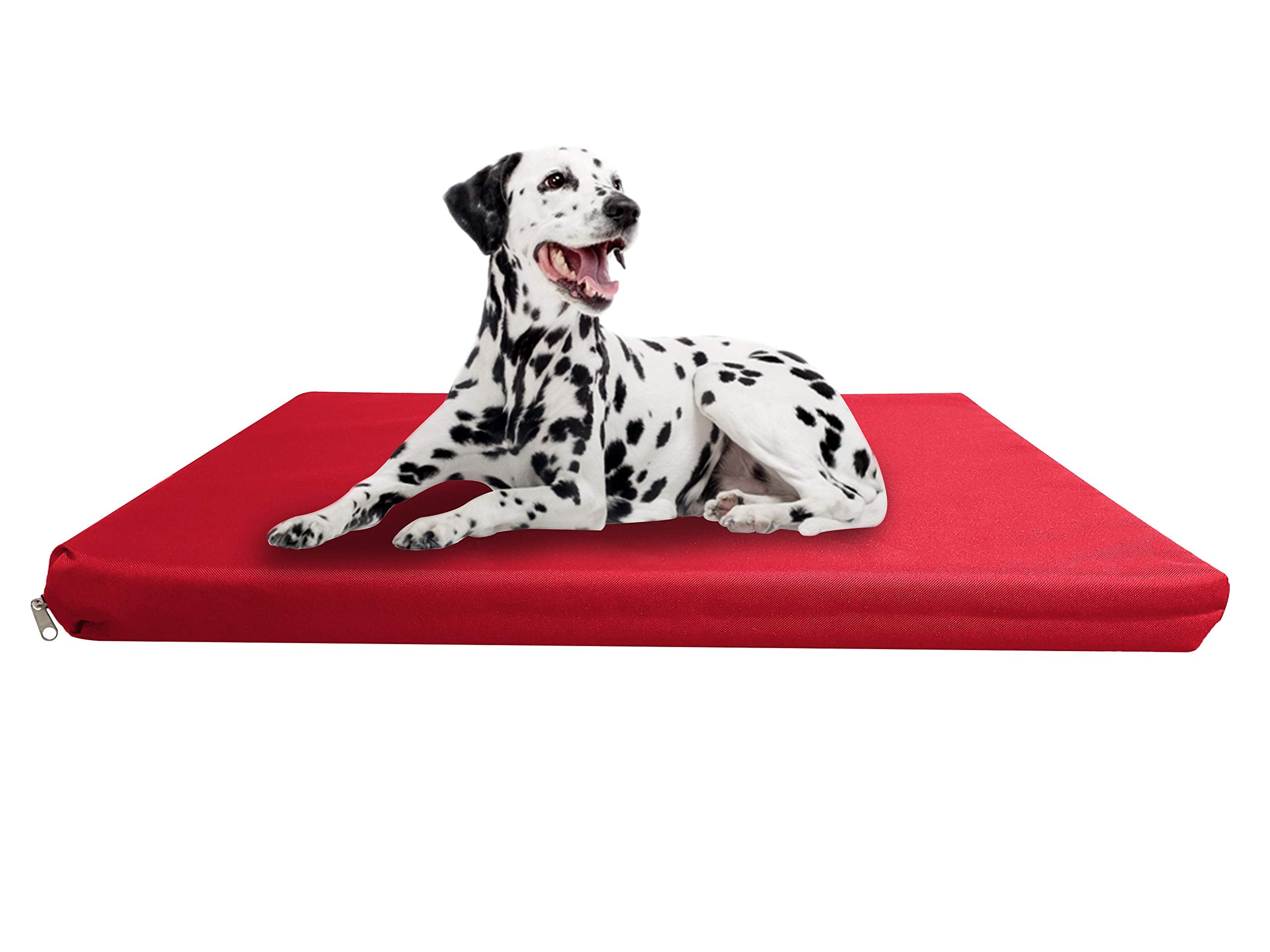 Strong, Sturdy and Waterproof Dog Bed, Premium High Density Foam, Durable Cool Washable Cover, Cushion Mattress for Dogs, Cats, Other Small and Big Pets, Great for Dogs Cats (Medium, Blue)