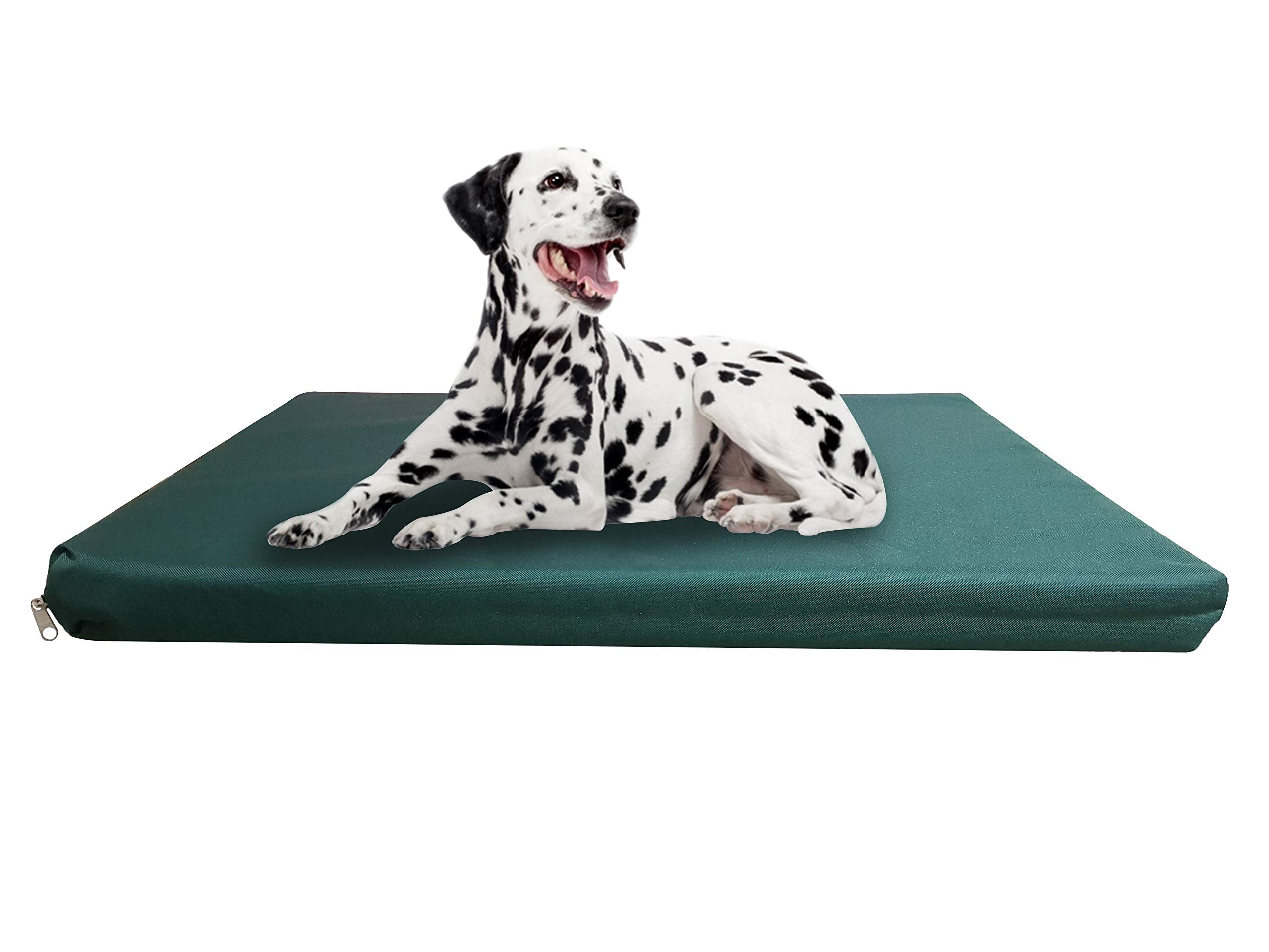 Strong, Sturdy and Waterproof Dog Bed, Premium High Density Foam, Durable Cool Washable Cover, Cushion Mattress for Dogs, Cats, Other Small and Big Pets, Great for Dogs Cats (Medium, Blue)