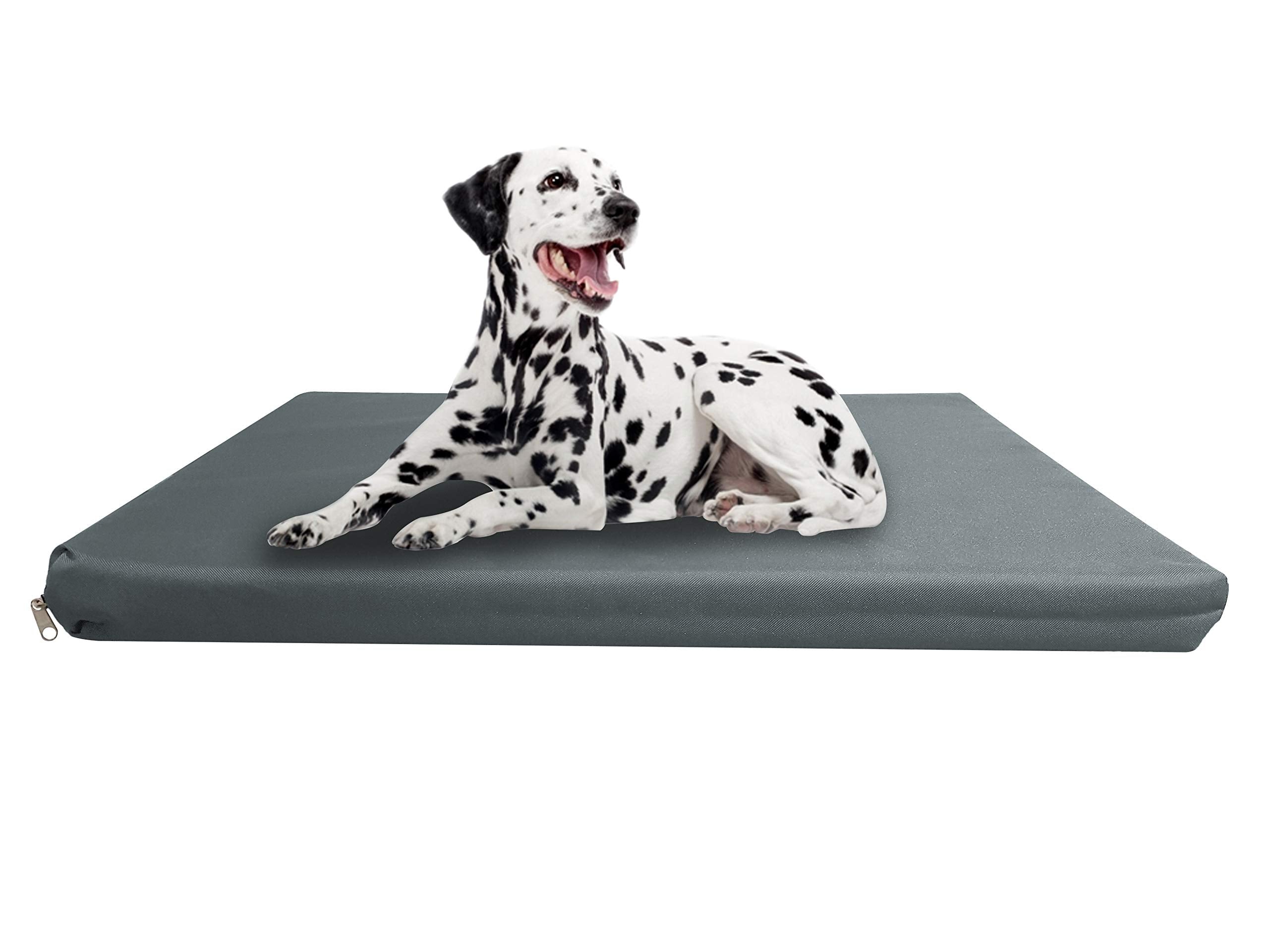 Strong, Sturdy and Waterproof Dog Bed, Premium High Density Foam, Durable Cool Washable Cover, Cushion Mattress for Dogs, Cats, Other Small and Big Pets, Great for Dogs Cats (Medium, Blue)
