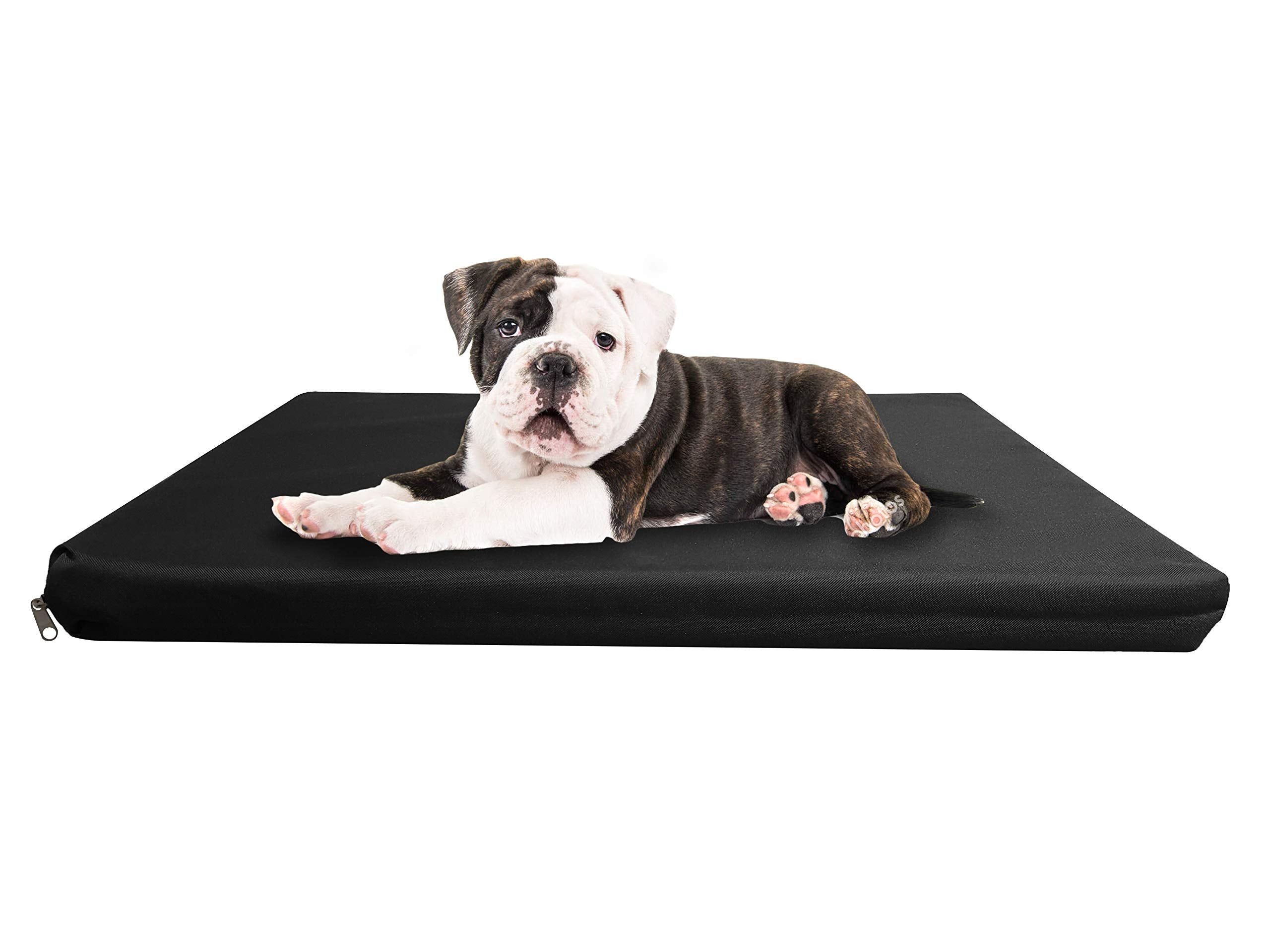Strong, Sturdy and Waterproof Dog Bed, Premium High Density Foam, Durable Cool Washable Cover, Cushion Mattress for Dogs, Cats, Other Small and Big Pets, Great for Dogs Cats (Medium, Blue)