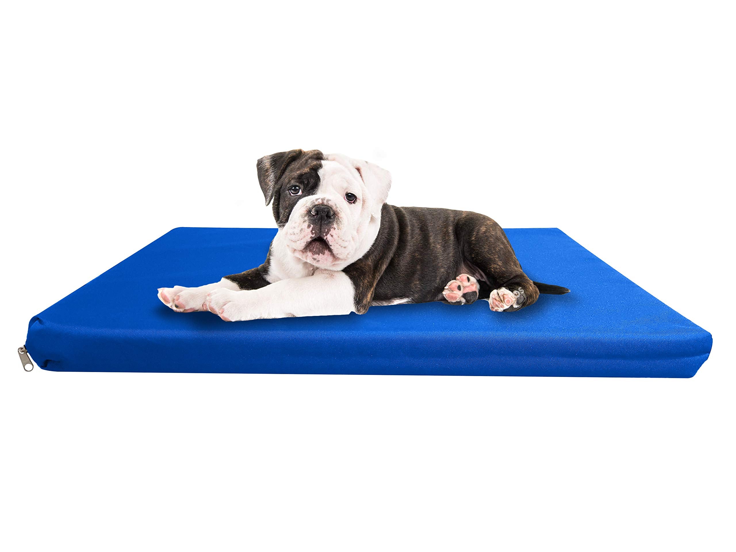 Strong, Sturdy and Waterproof Dog Bed, Premium High Density Foam, Durable Cool Washable Cover, Cushion Mattress for Dogs, Cats, Other Small and Big Pets, Great for Dogs Cats (Medium, Blue)