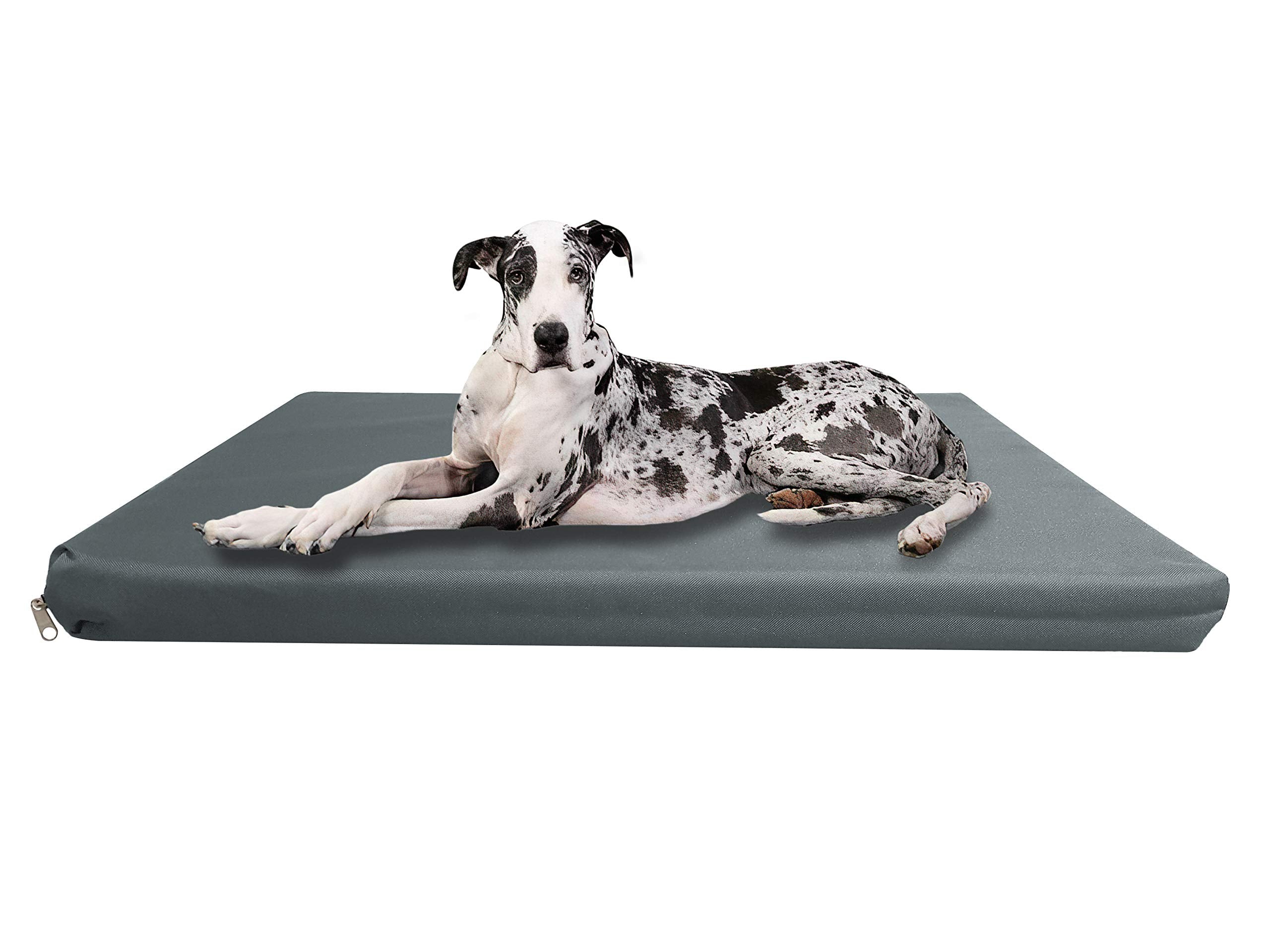 Strong, Sturdy and Waterproof Dog Bed, Premium High Density Foam, Durable Cool Washable Cover, Cushion Mattress for Dogs, Cats, Other Small and Big Pets, Great for Dogs Cats (Medium, Blue)
