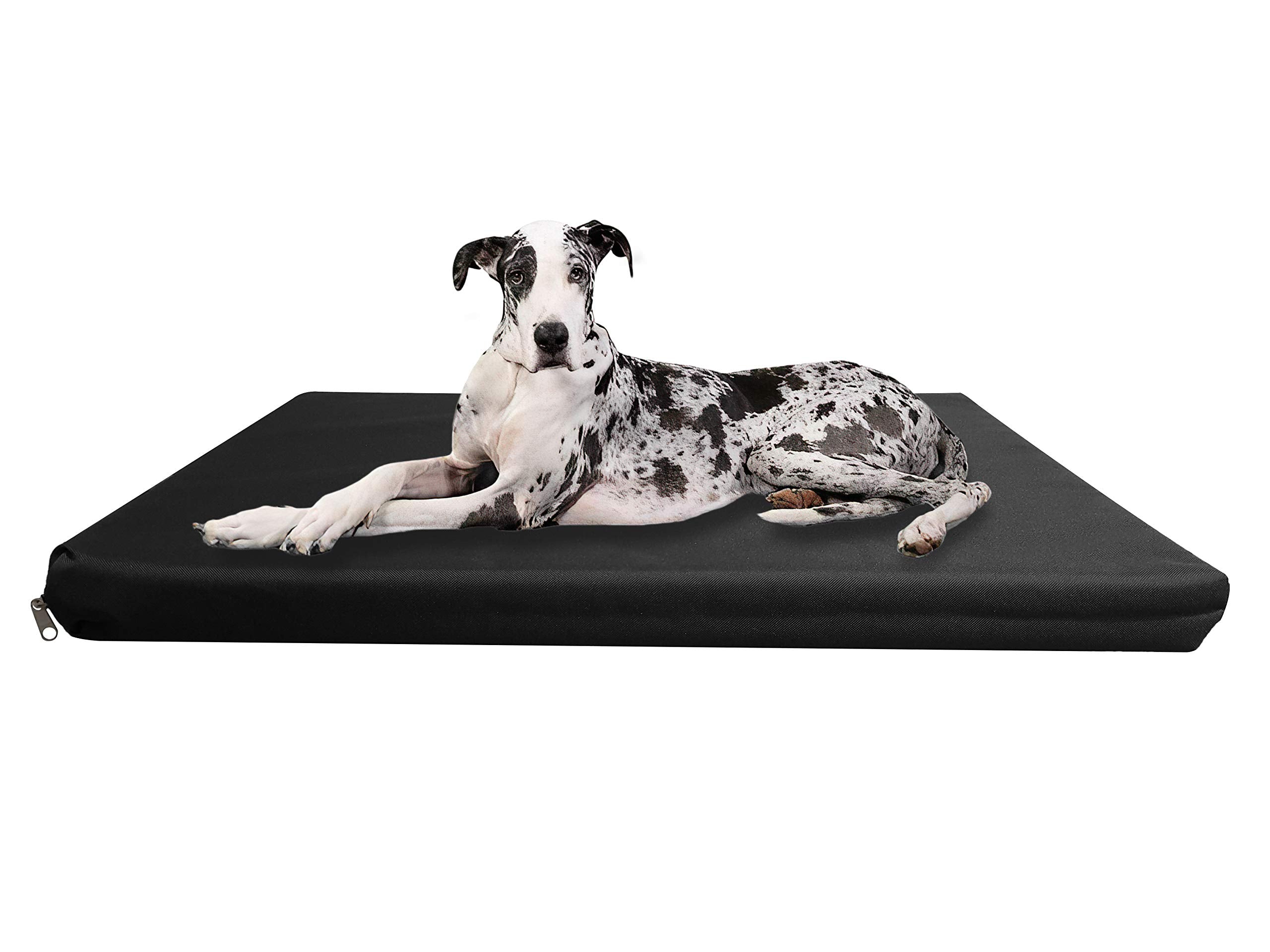 Strong, Sturdy and Waterproof Dog Bed, Premium High Density Foam, Durable Cool Washable Cover, Cushion Mattress for Dogs, Cats, Other Small and Big Pets, Great for Dogs Cats (Medium, Blue)