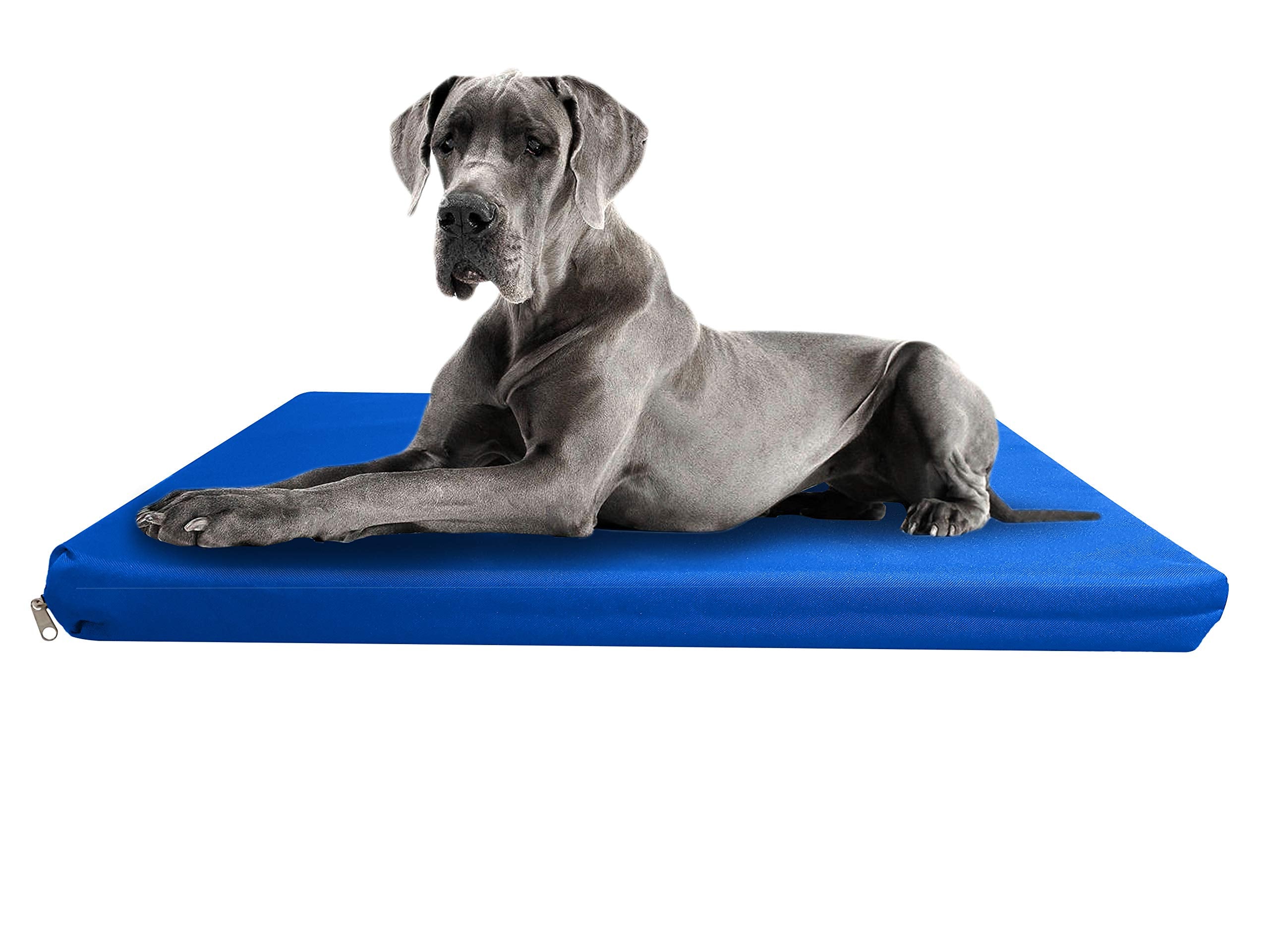 Strong, Sturdy and Waterproof Dog Bed, Premium High Density Foam, Durable Cool Washable Cover, Cushion Mattress for Dogs, Cats, Other Small and Big Pets, Great for Dogs Cats (Medium, Blue)