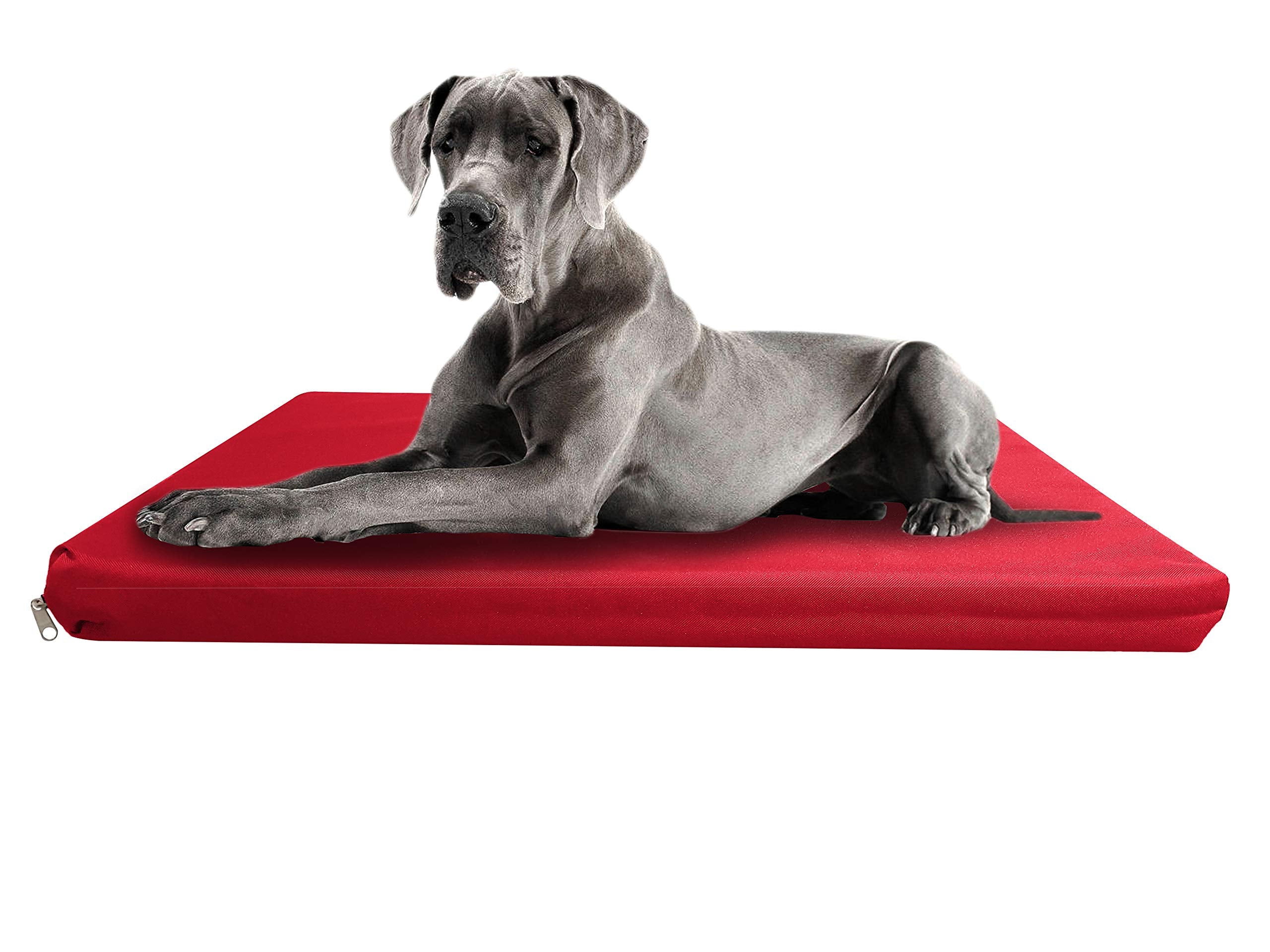 Strong, Sturdy and Waterproof Dog Bed, Premium High Density Foam, Durable Cool Washable Cover, Cushion Mattress for Dogs, Cats, Other Small and Big Pets, Great for Dogs Cats (Medium, Blue)