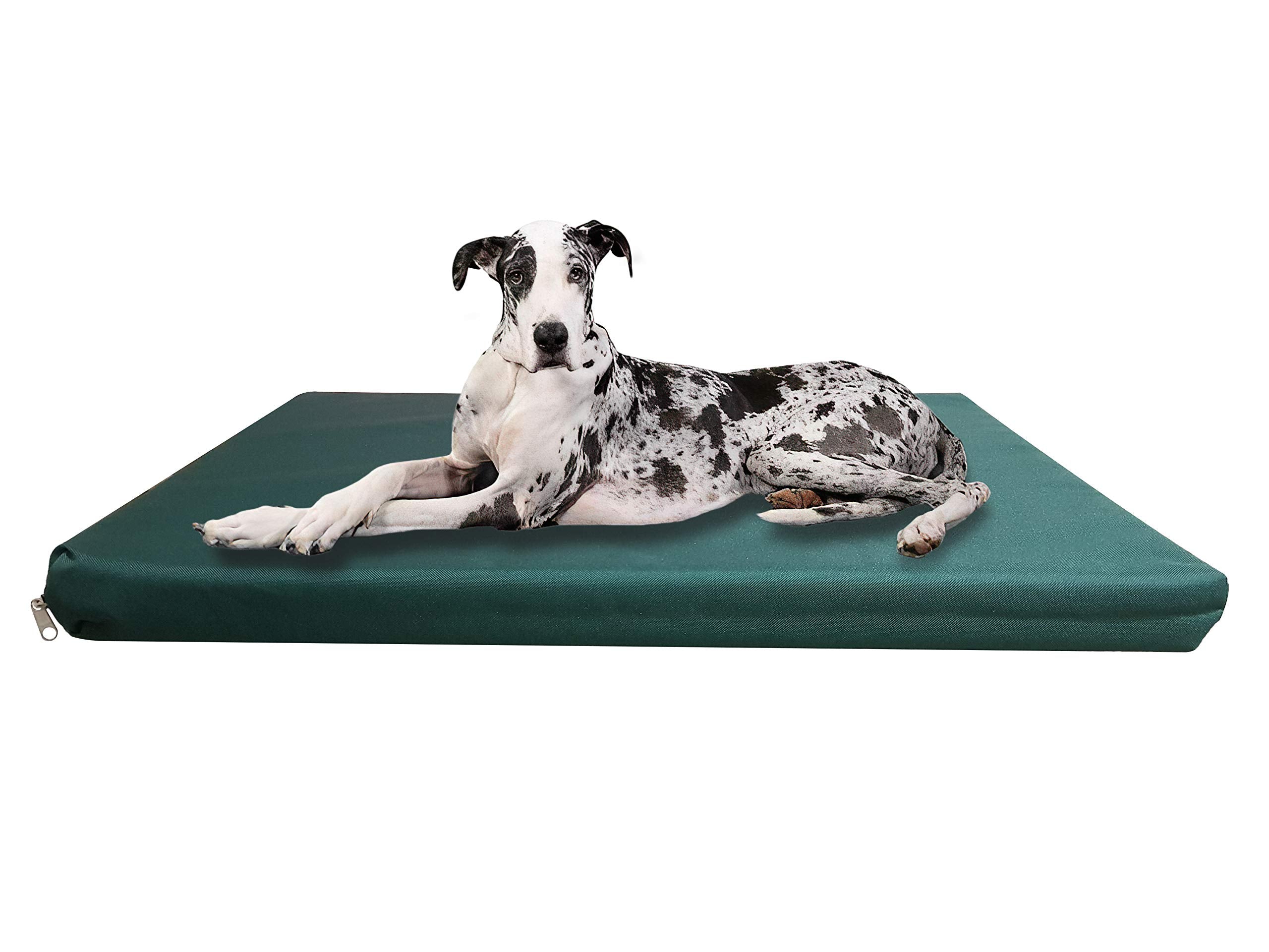 Strong, Sturdy and Waterproof Dog Bed, Premium High Density Foam, Durable Cool Washable Cover, Cushion Mattress for Dogs, Cats, Other Small and Big Pets, Great for Dogs Cats (Medium, Blue)