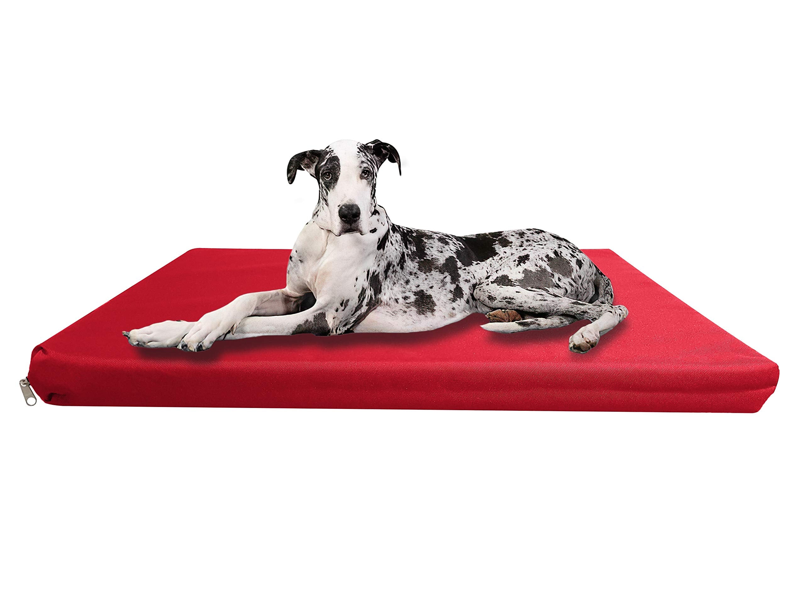 Strong, Sturdy and Waterproof Dog Bed, Premium High Density Foam, Durable Cool Washable Cover, Cushion Mattress for Dogs, Cats, Other Small and Big Pets, Great for Dogs Cats (Medium, Blue)
