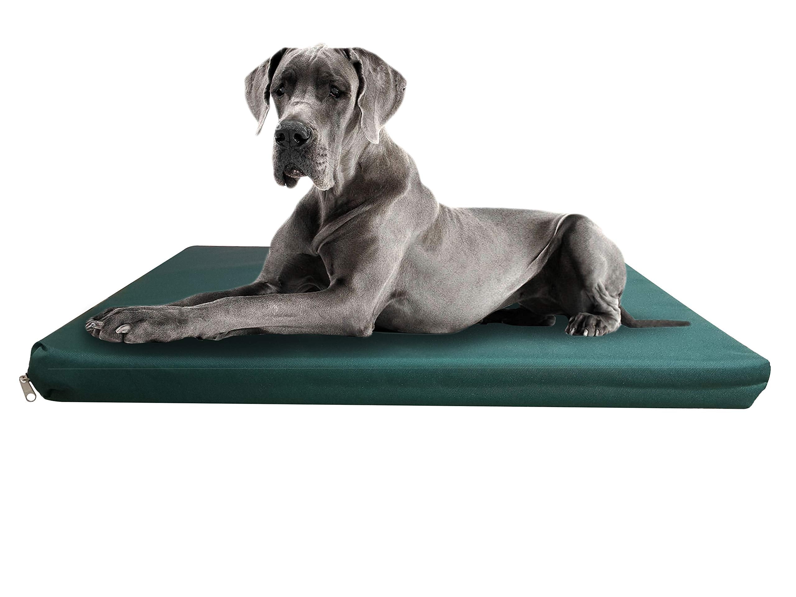 Strong, Sturdy and Waterproof Dog Bed, Premium High Density Foam, Durable Cool Washable Cover, Cushion Mattress for Dogs, Cats, Other Small and Big Pets, Great for Dogs Cats (Medium, Blue)