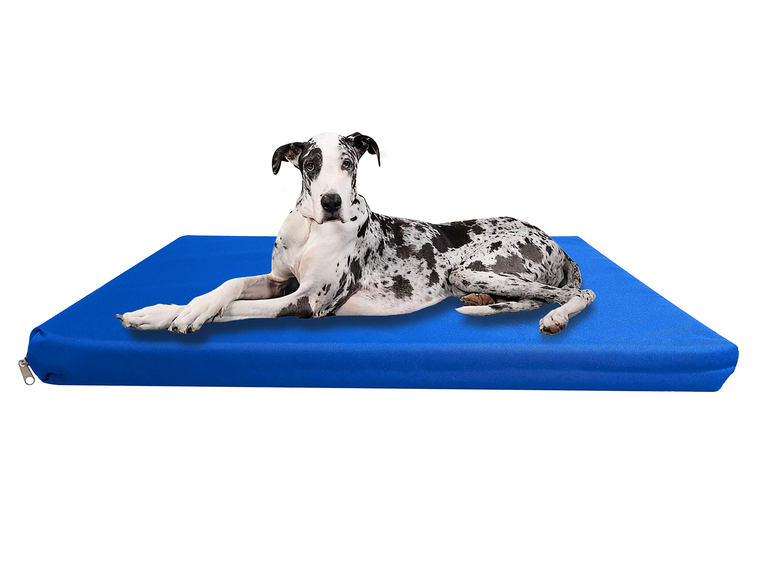Strong, Sturdy and Waterproof Dog Bed, Premium High Density Foam, Durable Cool Washable Cover, Cushion Mattress for Dogs, Cats, Other Small and Big Pets, Great for Dogs Cats (Medium, Blue)