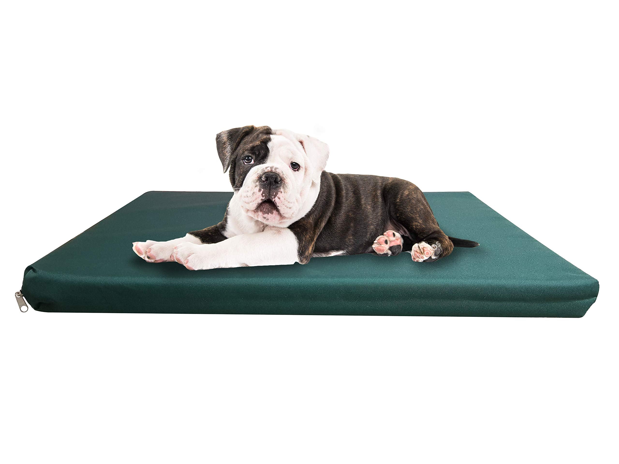 Strong, Sturdy and Waterproof Dog Bed, Premium High Density Foam, Durable Cool Washable Cover, Cushion Mattress for Dogs, Cats, Other Small and Big Pets, Great for Dogs Cats (Medium, Blue)