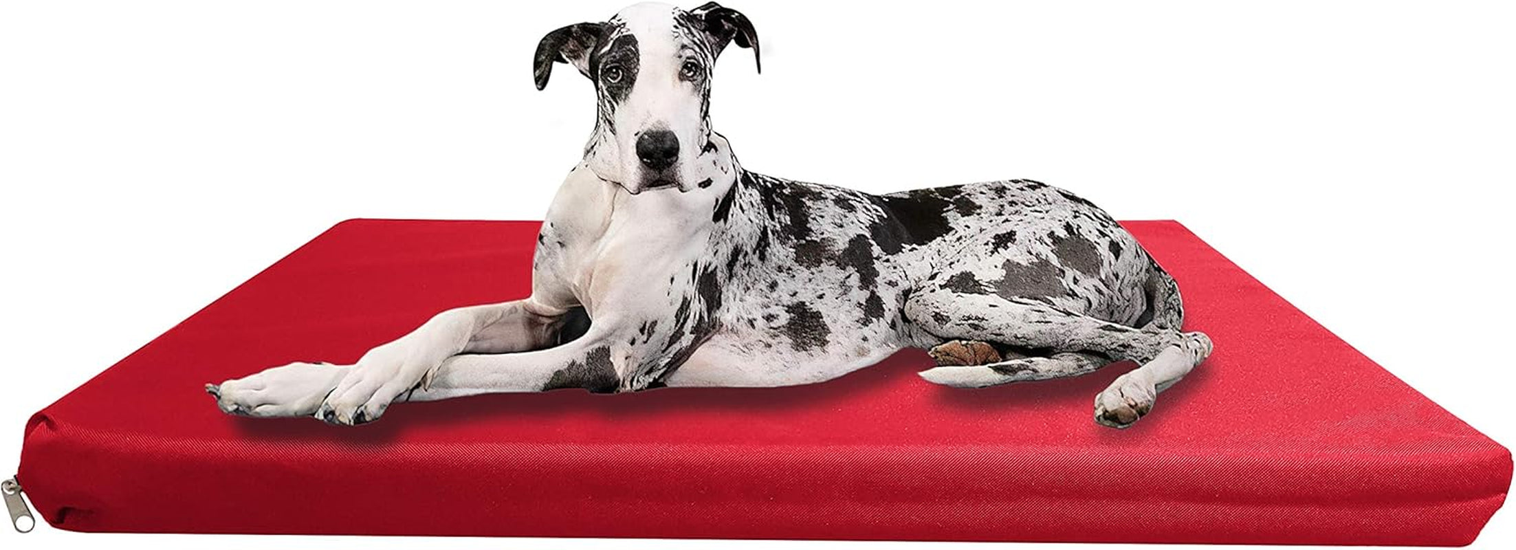 Waterproof & Sturdy, Strong Dog Bed, Premium High Density Foam, Durable Cool Washable Cover, Cushion Mattress for Dogs, Cats, Other Small and Big Pets, Great for Dogs Cats (Large, Grey)