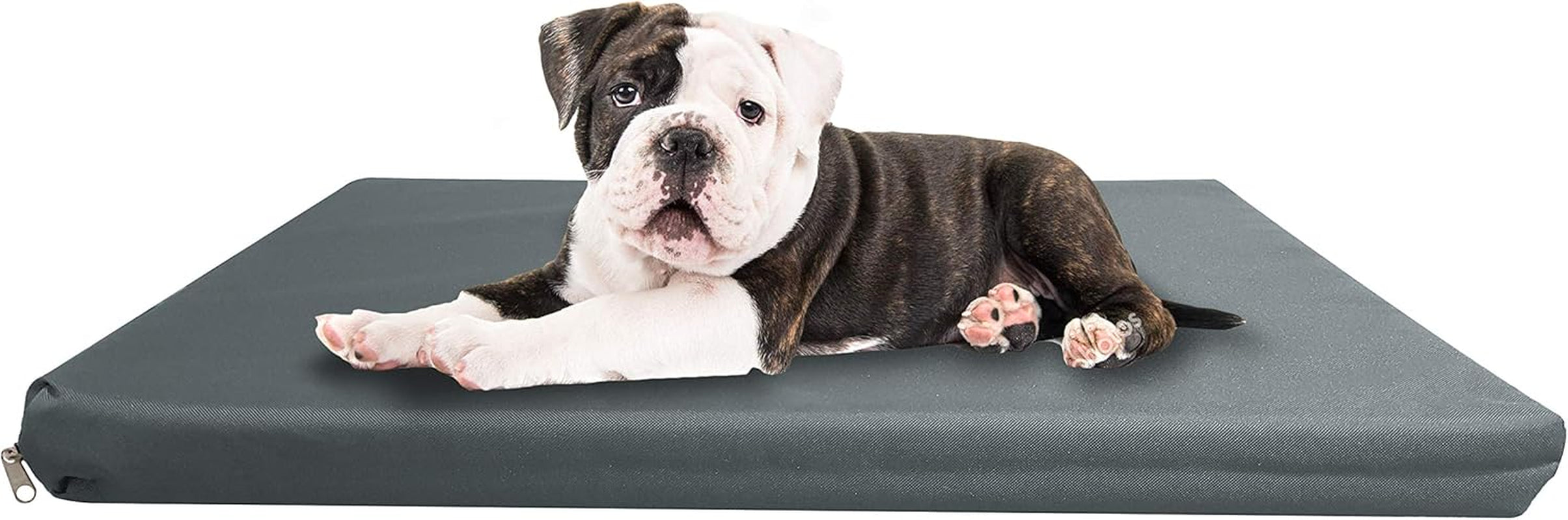 Waterproof & Sturdy, Strong Dog Bed, Premium High Density Foam, Durable Cool Washable Cover, Cushion Mattress for Dogs, Cats, Other Small and Big Pets, Great for Dogs Cats (Large, Grey)