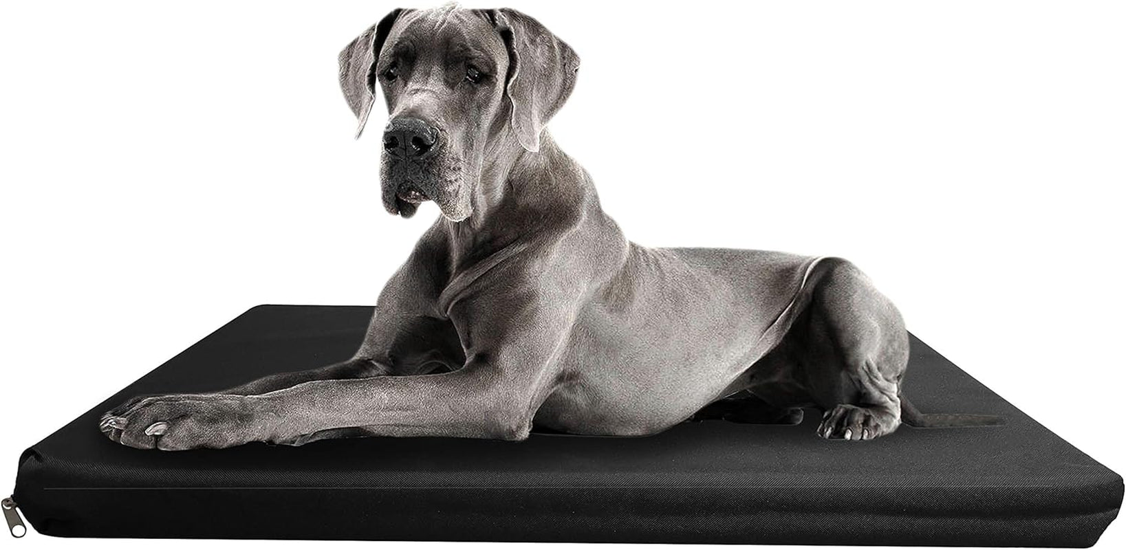 Waterproof & Sturdy, Strong Dog Bed, Premium High Density Foam, Durable Cool Washable Cover, Cushion Mattress for Dogs, Cats, Other Small and Big Pets, Great for Dogs Cats (Large, Grey)