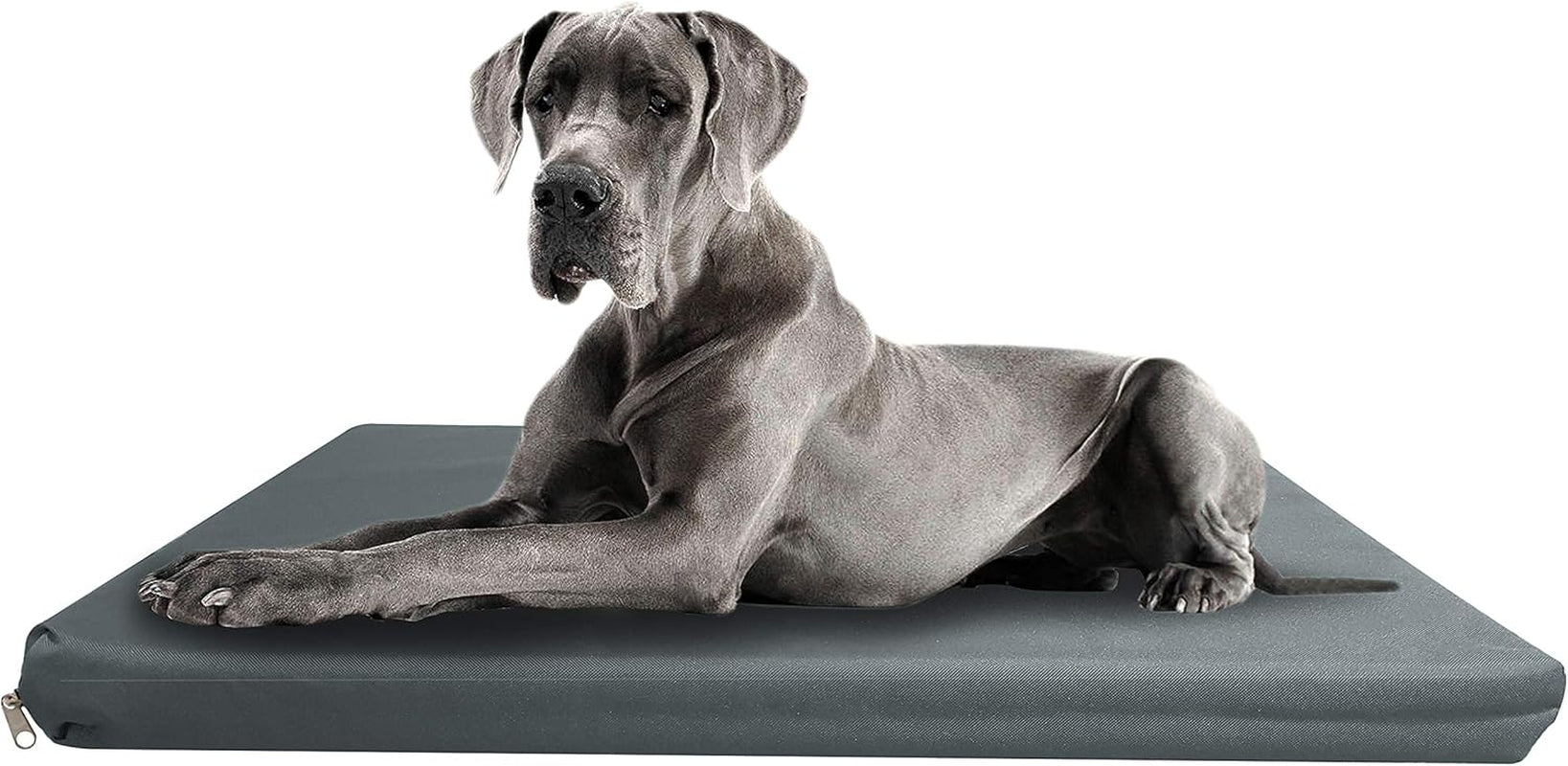 Waterproof & Sturdy, Strong Dog Bed, Premium High Density Foam, Durable Cool Washable Cover, Cushion Mattress for Dogs, Cats, Other Small and Big Pets, Great for Dogs Cats (Large, Grey)